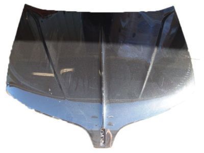 Lincoln DA5Z-16612-A Hood