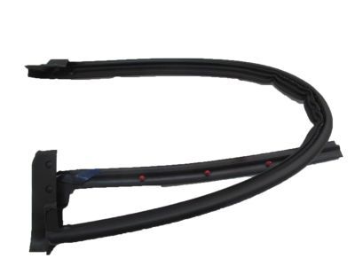 Ford 4L3Z-18253A36-AF Door Weatherstrip