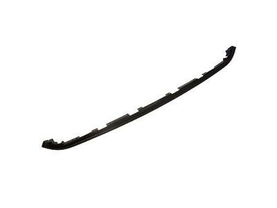 Ford Weather Strip - BC3Z-16A238-F