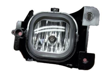 Ford 4L5Z-15200-BB Fog Lamp Assembly