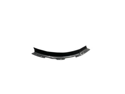 Ford XL3Z-17A861-AA Bumper Filler