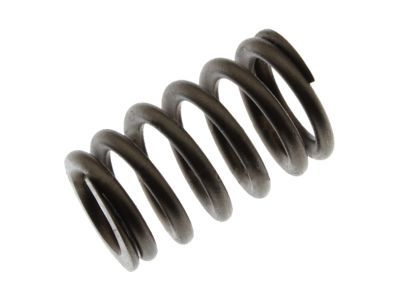 Lincoln F6LZ-6513-AB Valve Springs