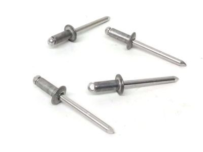 Lincoln -W525157-S300 Outer Support Rivet