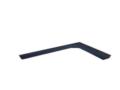 Lincoln DP5Z-54061A17-AB Trim Molding