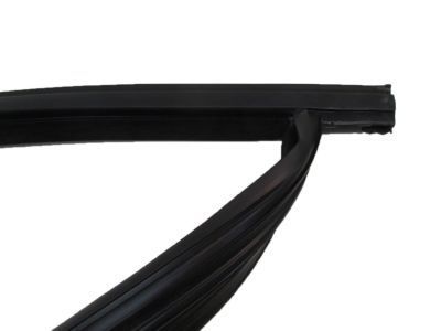 Ford DM5Z-5821597-A Run Weatherstrip