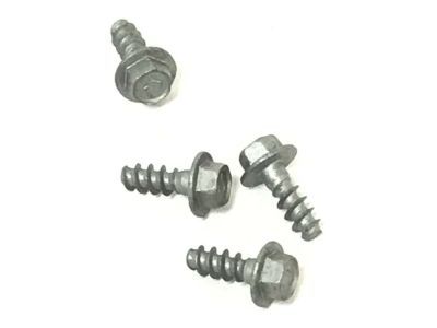 Ford -W507042-S442 Lower Molding Screw