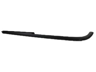 Ford 6R3Z-76423A19-AA Outer Molding