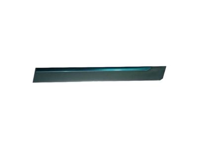 Mercury 5W3Z-5425557-BPTM Body Side Molding