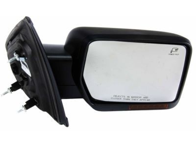 Ford BL3Z-17682-FACP Mirror Assy - Rear View Outer