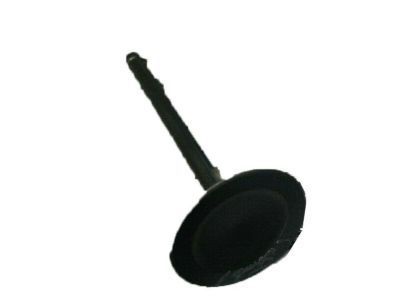 Lincoln 7T4Z-6507-B Intake Valve