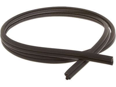 Ford FOTZ-1520708-A Weatherstrip