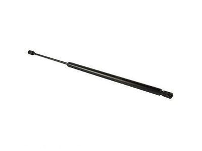 Lincoln Lift Support - AE9Z-16C826-B