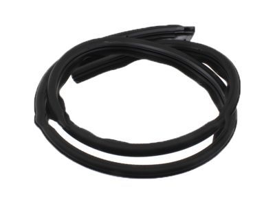 Ford 4L3Z-16253A21-AA Seal Strip