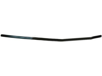 Ford 5R3Z-6351729-AAA Roof Molding