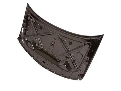 Lincoln 7A1Z-16612-A Hood