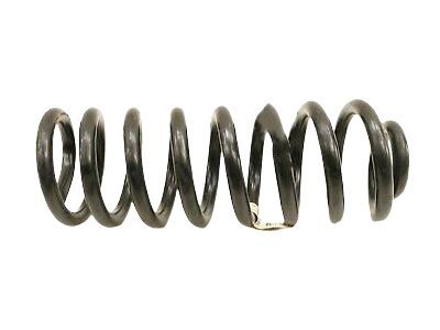 Lincoln Coil Springs - 9L1Z-5310-L