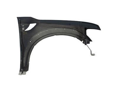 Ford AL3Z-16006-A Fender Assembly - Front