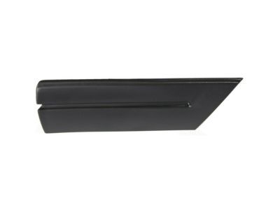 Ford 5W7Z-16036-APTM Body Side Molding