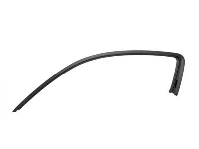 Ford CR3Z-6351239-A Upper Weatherstrip Retainer