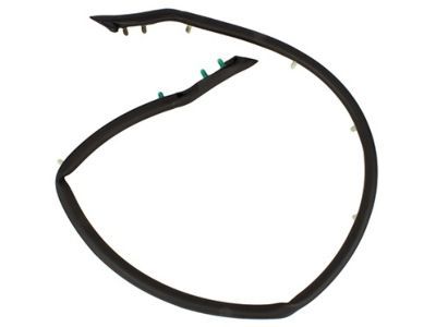 Ford Weather Strip - FR3Z-16A238-B