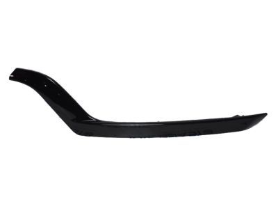 Ford JB5Z-17E811-AB Outer Molding