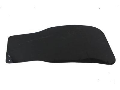 Ford E9TZ-9928370-B Splash Shield