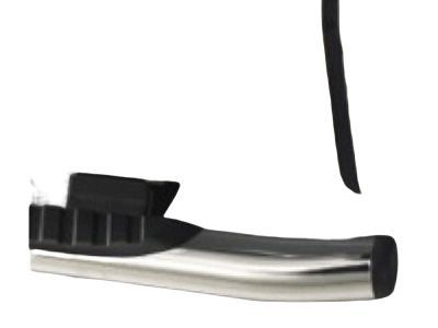 Ford 9L3Z-16450-EB Running Board