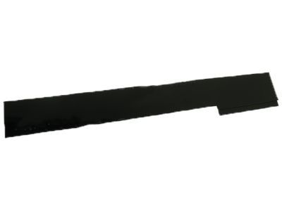 Ford FT4Z-5851968-B Rear Molding