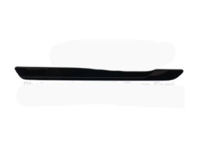 Ford JB5Z-17C830-BB Side Molding