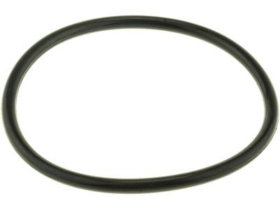 Ford -W702837-S300 Thermostat Gasket