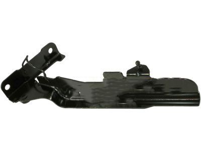 Mercury 6L2Z-16796-AA Hinge