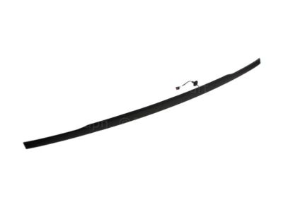 Ford DB5Z-13B482-CB Rear Molding