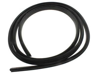 Lincoln Door Seal - 6L1Z-78404A06-A