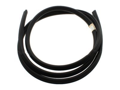 Lincoln Mark LT Weather Strip - 7L3Z-1620708-A