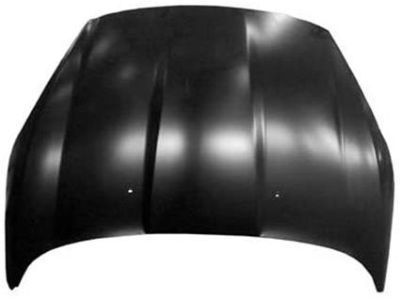 Ford Hood - D2BZ-16612-B