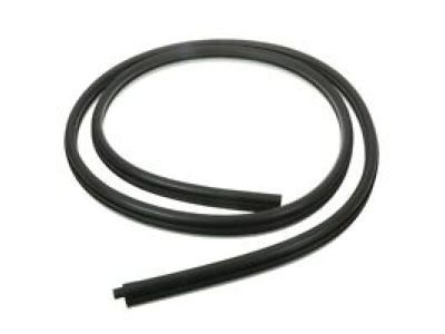 Lincoln EJ7Z-7820530-A Door Weatherstrip