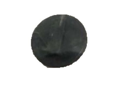 Ford DT1Z-4273-B Cap - Screw