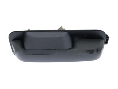 Ford FL3Z-1522404-CGPTM HANDLE ASY - DOOR - OUTER