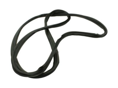 2018 Ford Transit-350 Weather Strip - CK4Z-6120708-B