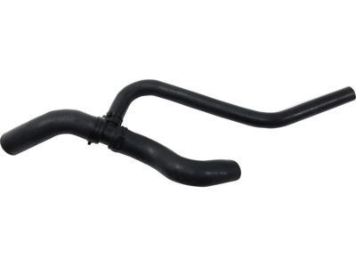 Ford 5R3Z-8286-AA Lower Hose