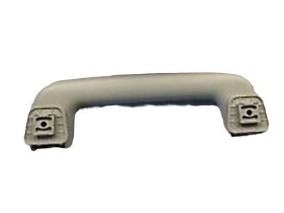 Lincoln DS7Z-5831406-AD Grip Handle