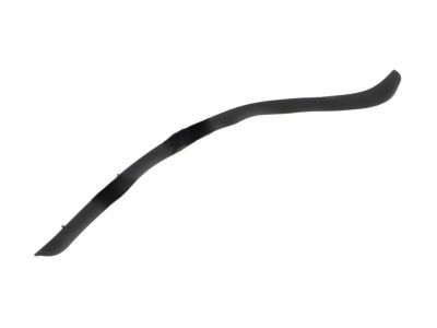 Ford DS7Z-5420708-B Weatherstrip On Body