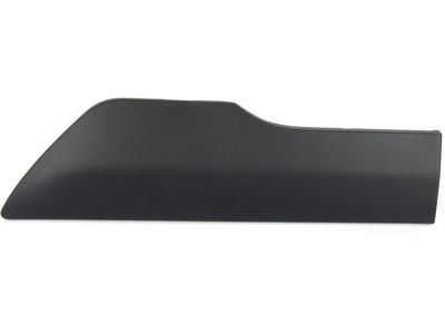 Ford DT1Z-6129077-CB Body Side Molding