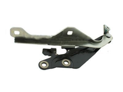 Ford FR3Z-16796-C Hinge