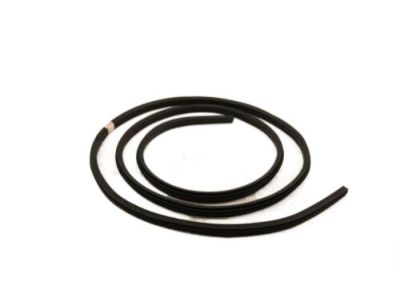 Ford BL3Z-1820708-B Weatherstrip On Body