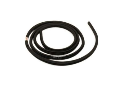 Ford BL3Z-1820708-B Weatherstrip On Body