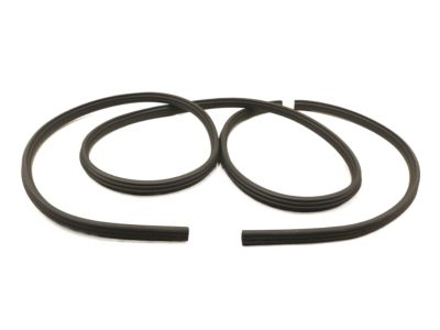 Ford BL3Z-1820708-B Weatherstrip On Body