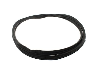 Lincoln Weather Strip - 7L1Z-7842084-BD