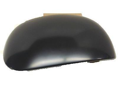 2003 Ford F-150 Mirror Cover - F7TZ-17D743-BB