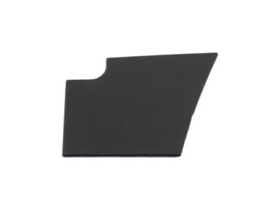 Ford FB5Z-78061A16-BA Trim Molding